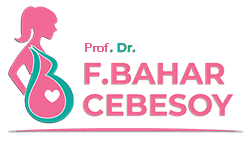 bahar cebesoy